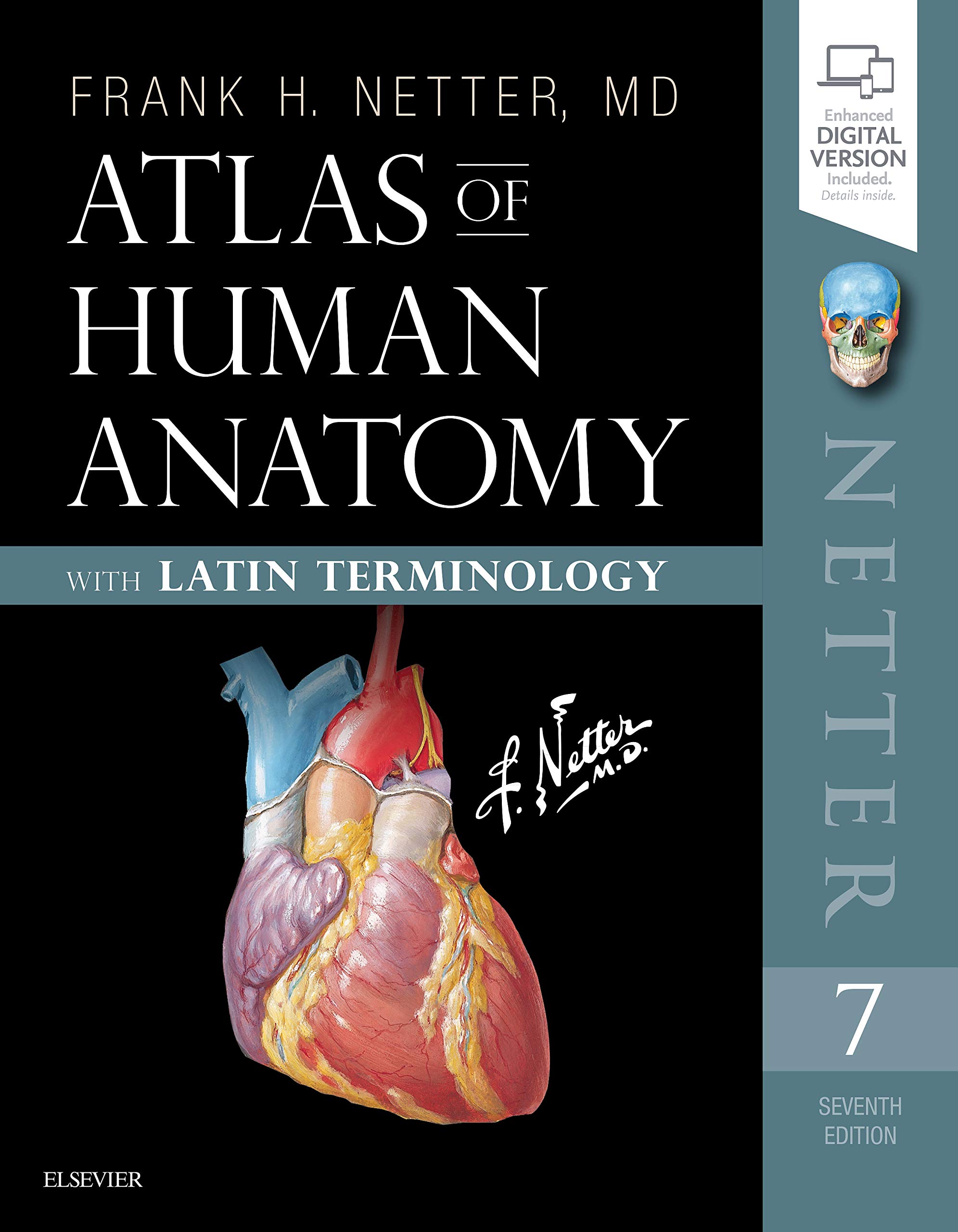 Фрэнк неттер атлас. Атлас анатомии человека Неттера. Атлас анатомии человека Фрэнк Неттер 4 издание. Фрэнк Неттер атлас анатомии человека. Фрэнк Неттер атлас анатомии человека 2003.